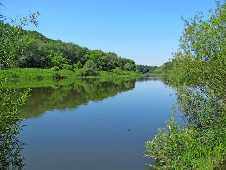 Соснове з panoramio.com - Соснове