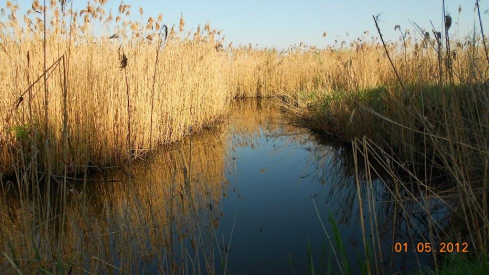 Білопілля з panoramio.com - Білопілля