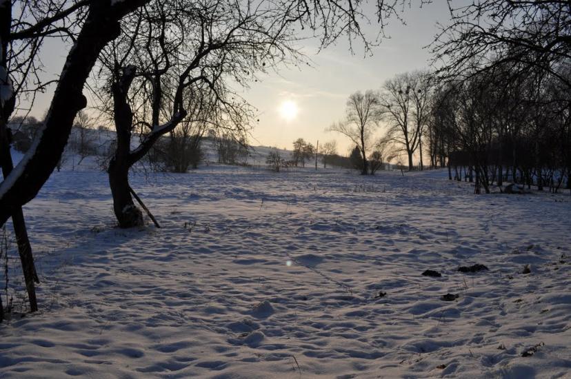 Заріцьк з panoramio.com - Заріцьк