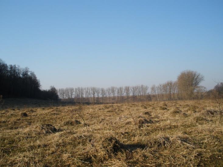 Думенки з panoramio.com - Думенки