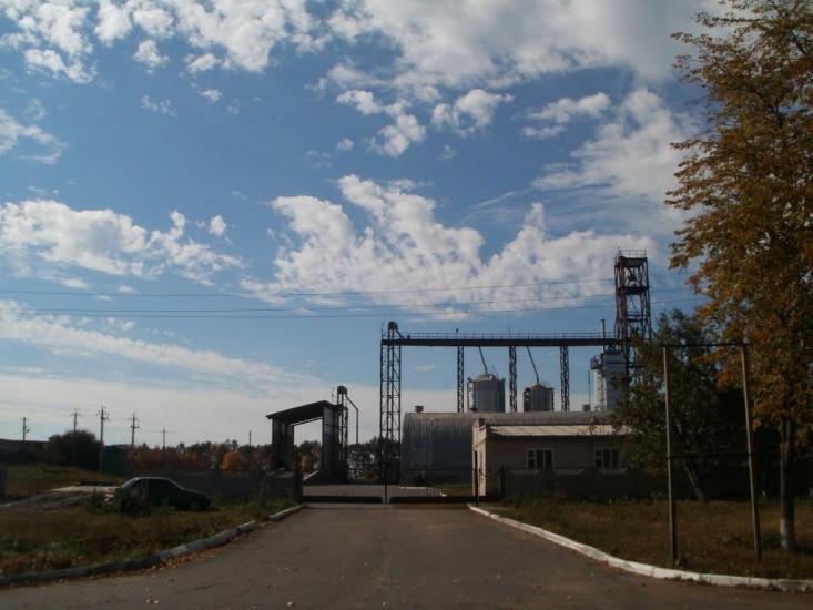 Залужжя з panoramio.com - Залужжя