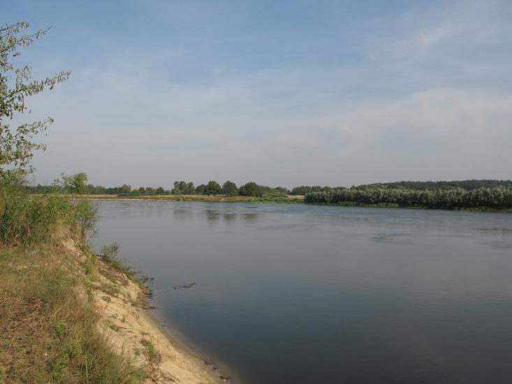 Губичі з panoramio.com - Губичі