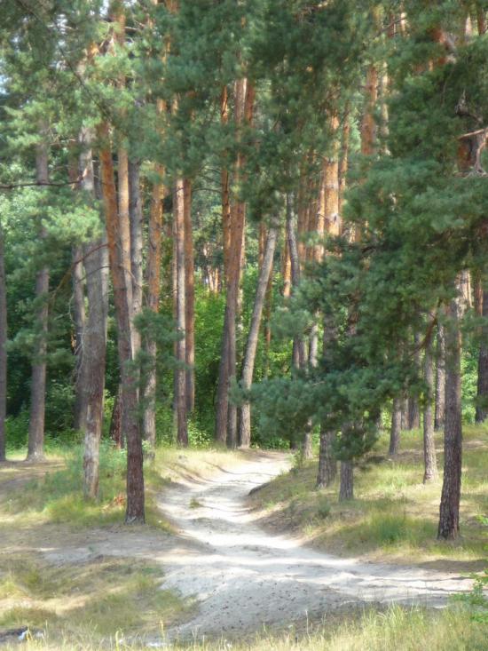 Климентове з panoramio.com - Климентово