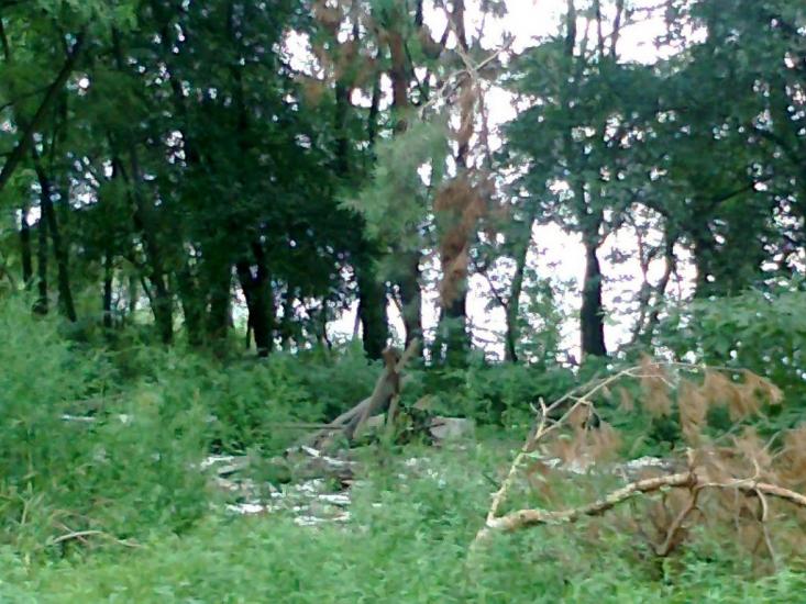 Подорожнє з panoramio.com - Подорожнє