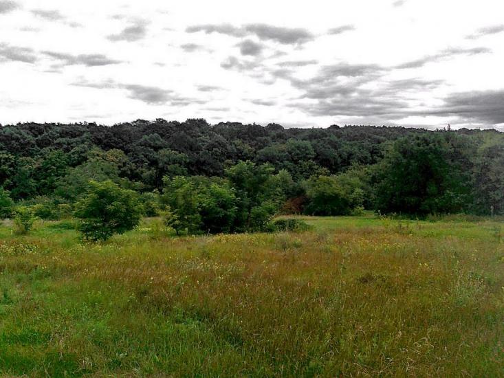 Подорожнє з panoramio.com - Подорожнє