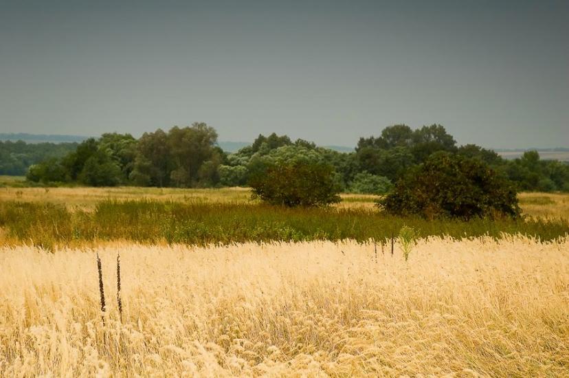 Вознесенське з panoramio.com - Вознесенське
