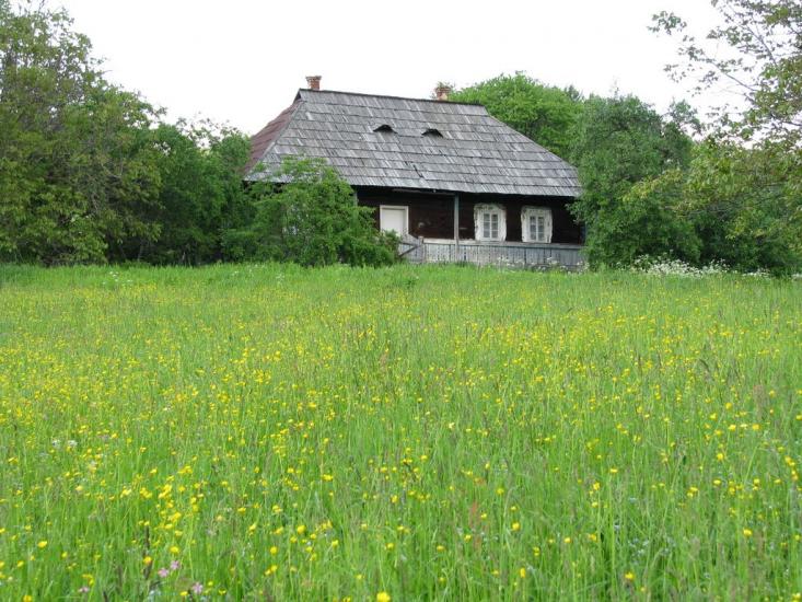 Берегомет з panoramio.com - Берегомет