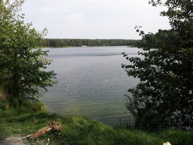 Лісники з panoramio.com - Лесники