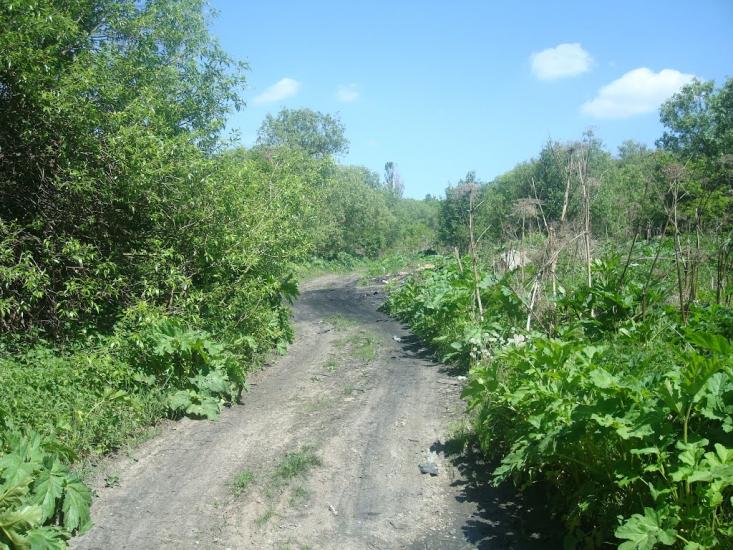 Мацьківці з panoramio.com - Мацьківці