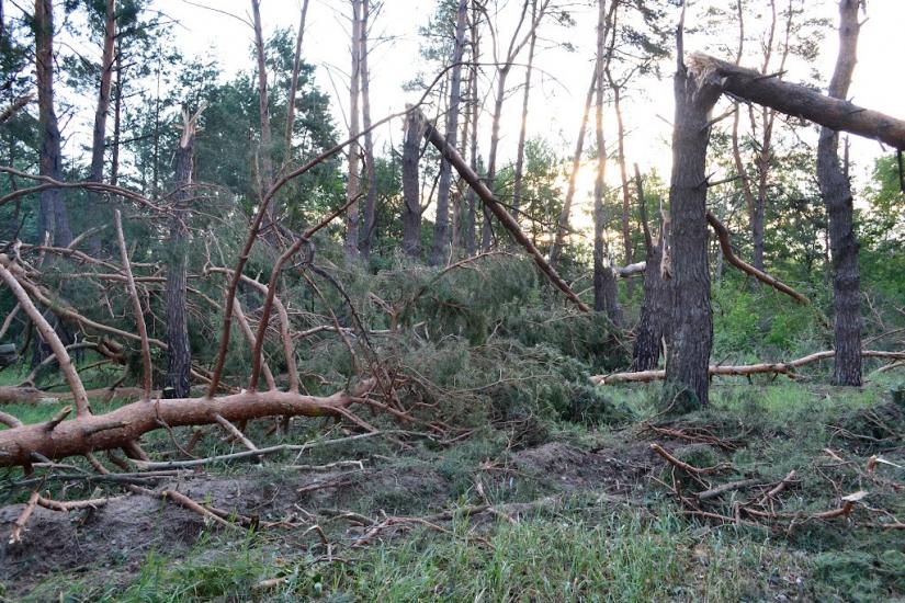 Чикалівка з panoramio.com - Чикалівка
