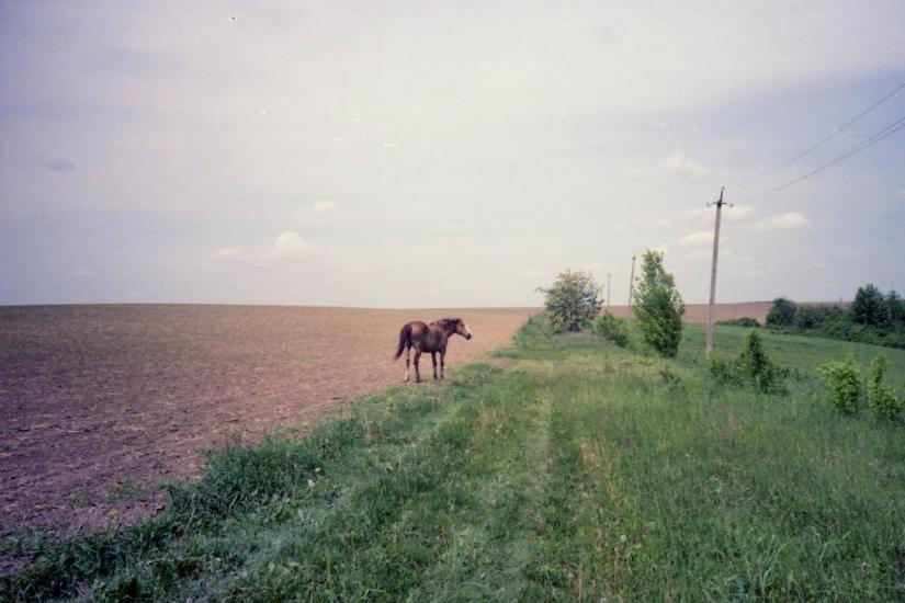 Русанівці з panoramio.com - Rusanivtsi