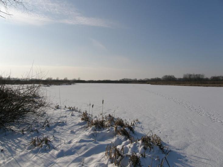 Оржиця з panoramio.com - Orzhytsya