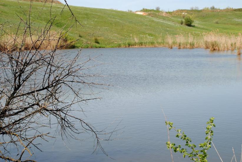 Василівка з panoramio.com - Васильевка