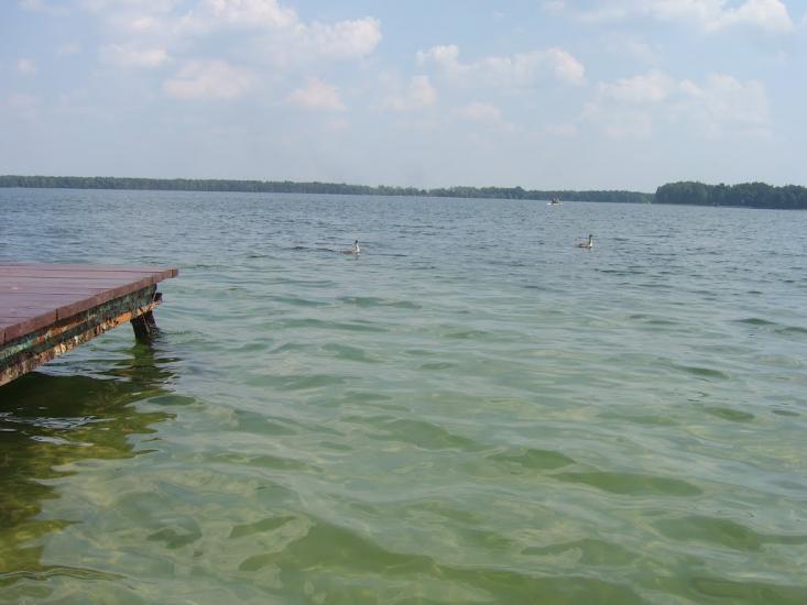 Затишшя з panoramio.com - Затишшя