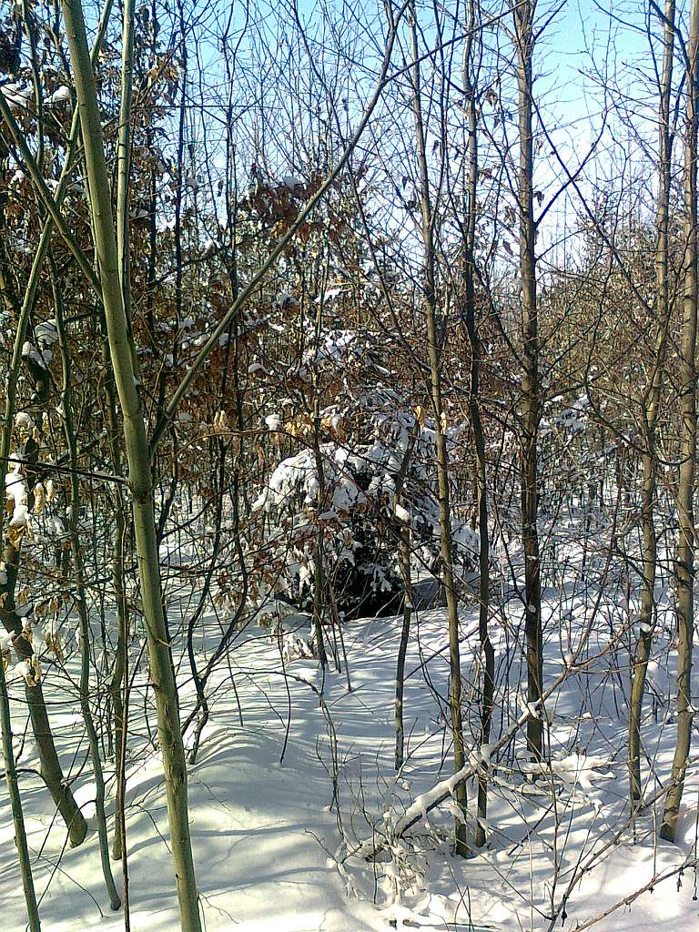 Паївка з panoramio.com - Паевка