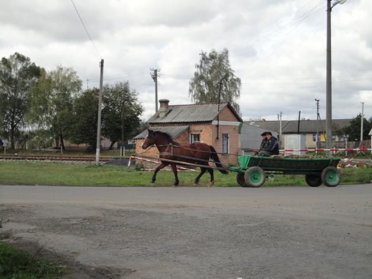 Мар'янівка з panoramio.com - Марьяновка