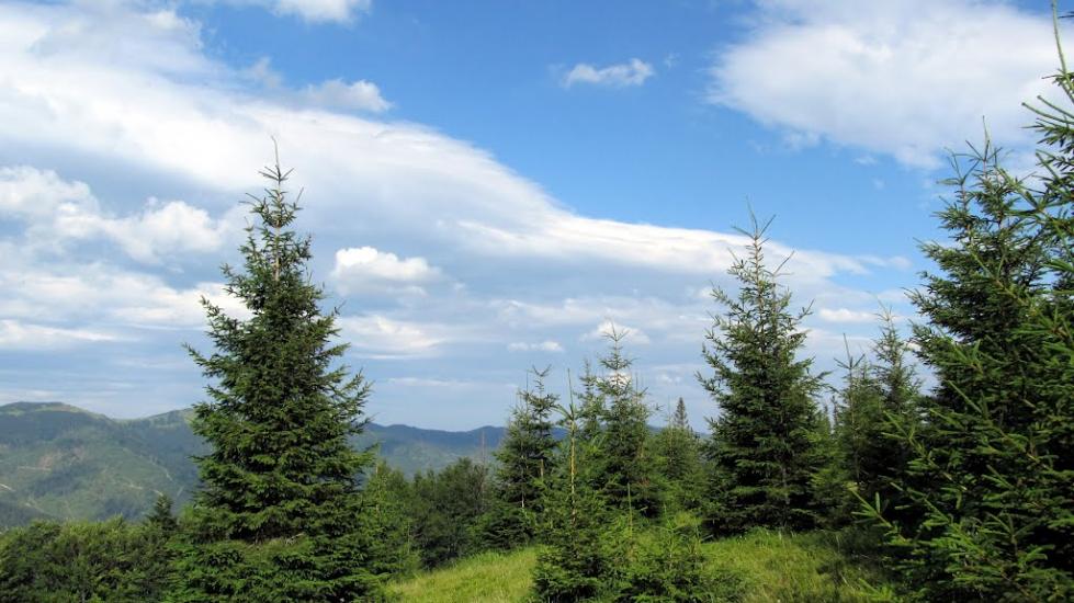 Коростів з panoramio.com - Коростов
