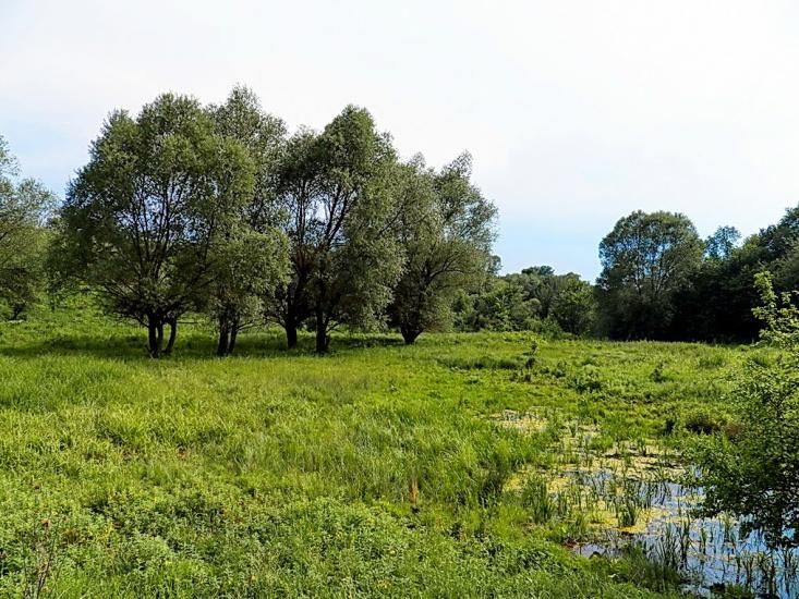 Булавинське з panoramio.com - Булавинське