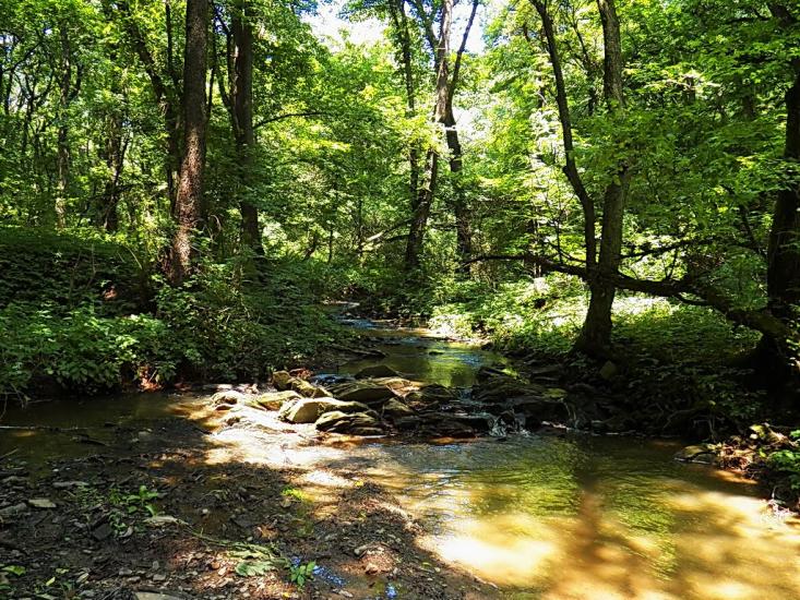 Булавинське з panoramio.com - Булавинське