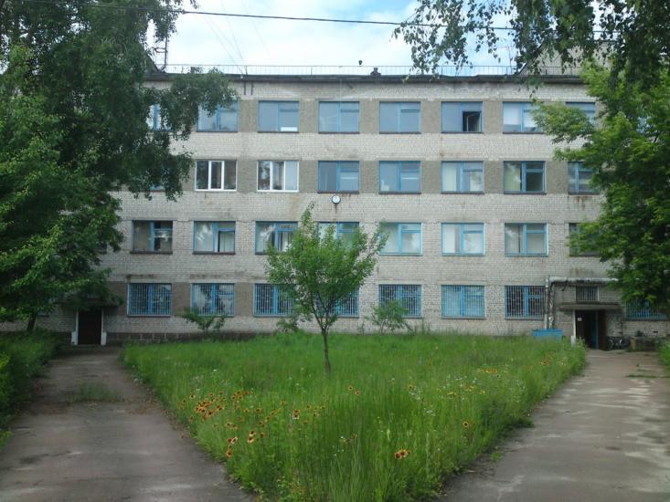 Нова Борова з panoramio.com - Новая Боровая