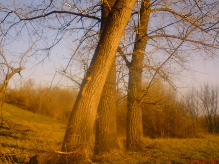 Вишняківка з panoramio.com - Вишняківка