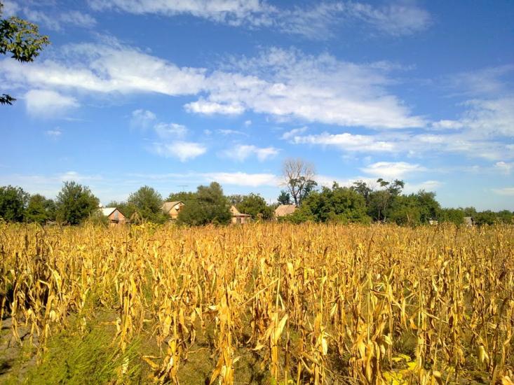 Олександрівка з panoramio.com - Олександрівка