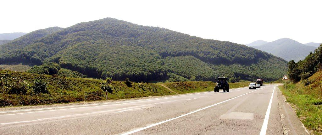 Плав'я з panoramio.com - Плавья