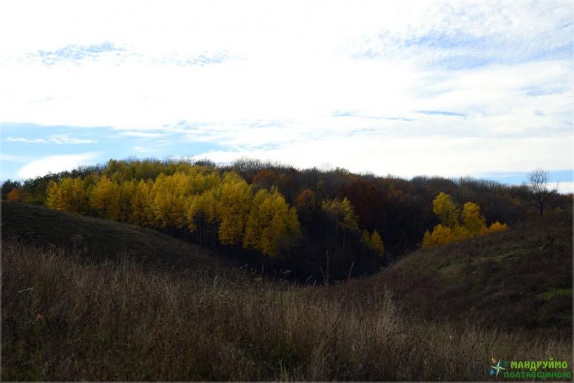 Великі Будища з panoramio.com - Великие Будища