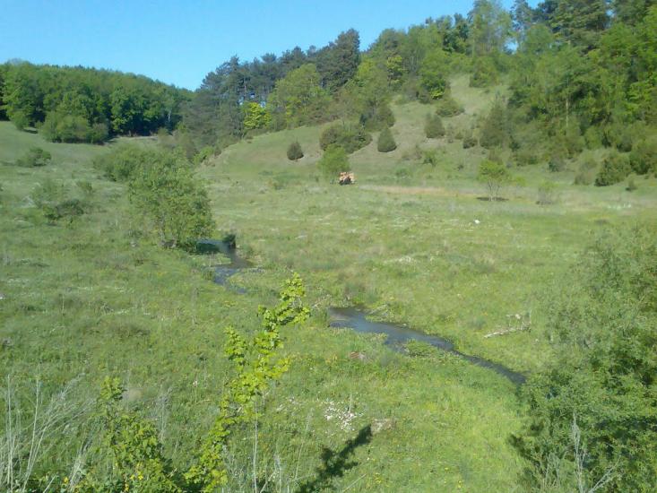 Блищанівка з panoramio.com - Блещановка