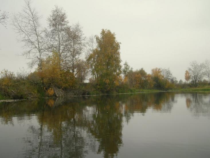 Нижча Дубечня з panoramio.com - Нижча Дубечня