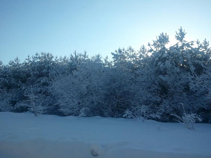 Квіткове з panoramio.com - Kvitkove