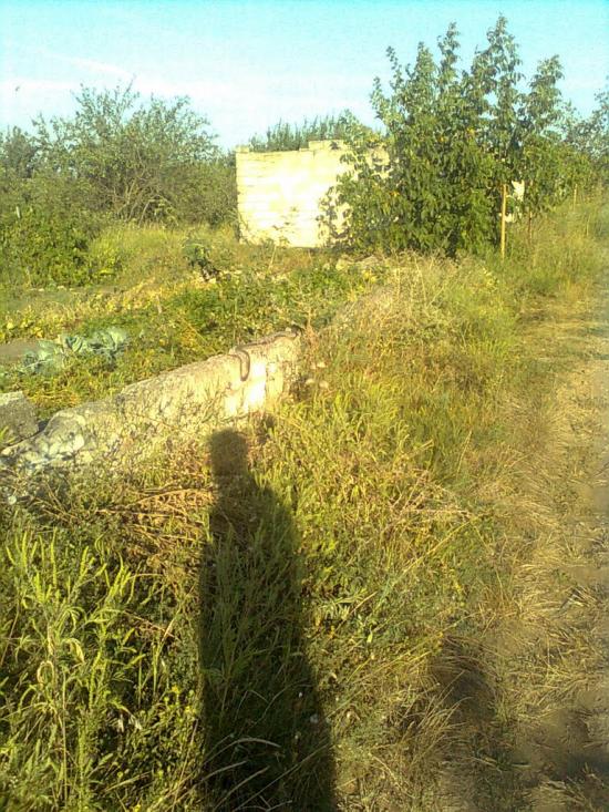 Новопетрівське з panoramio.com - Новопетрівське