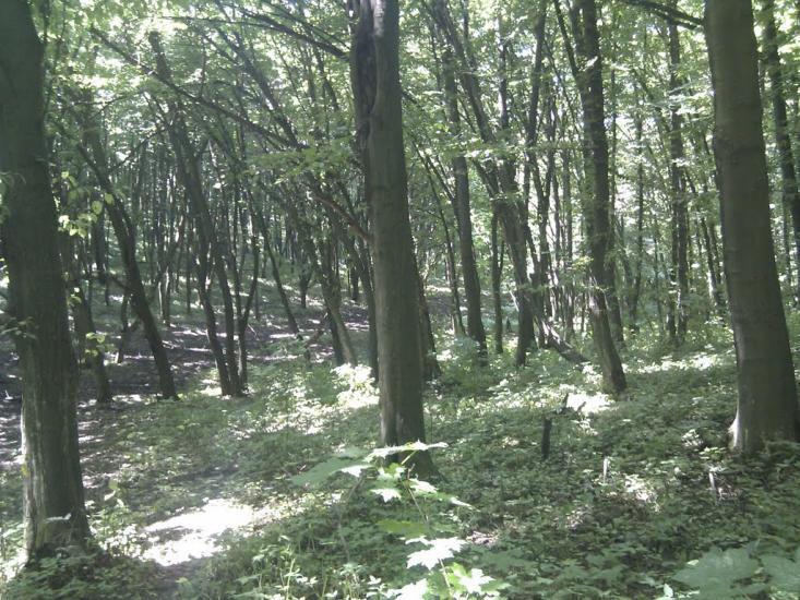 Ярмолинці з panoramio.com - Ярмолинцы