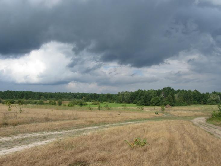 Мельники з panoramio.com - Мельники