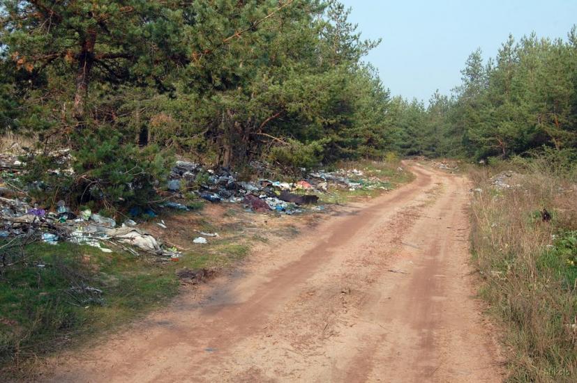 Борівське з panoramio.com - Боровское