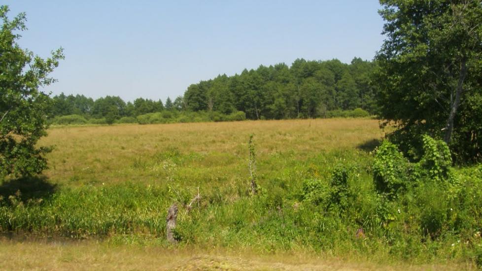 Машеве з panoramio.com - Машево