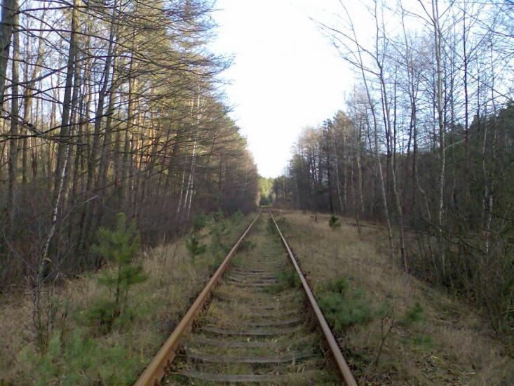 Малин з panoramio.com - Malyn