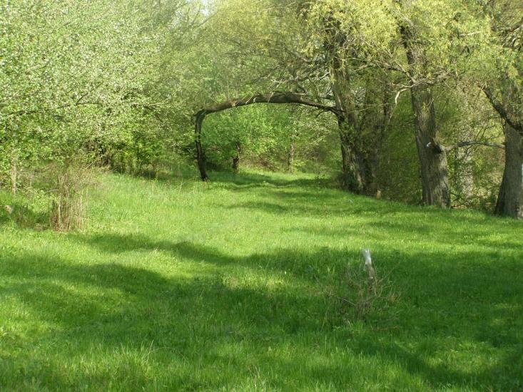 Росоша з panoramio.com - Росоша