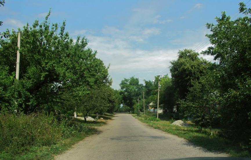 Дмитрівка з panoramio.com - Дмитровка