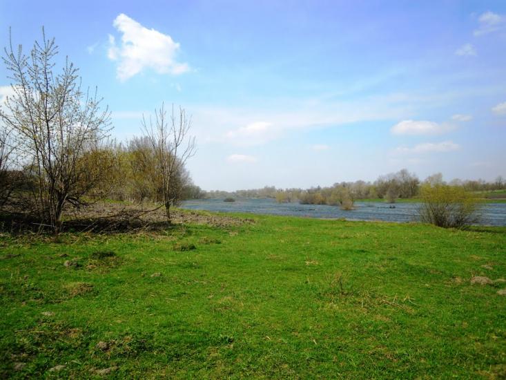 Сальниця з panoramio.com - Сальница