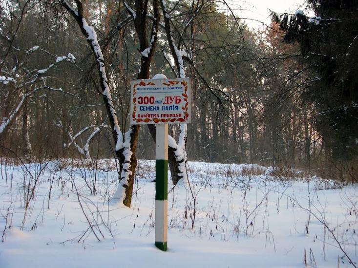 Волиця з panoramio.com - Волица