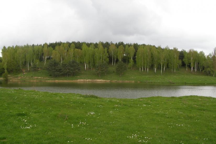 Красилів з panoramio.com - Красилів
