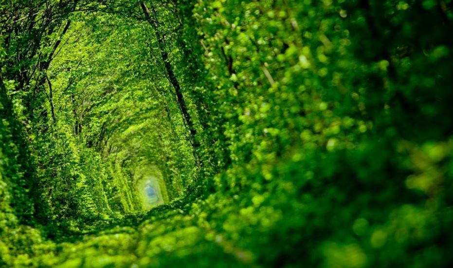 Клевань з panoramio.com - Klevan