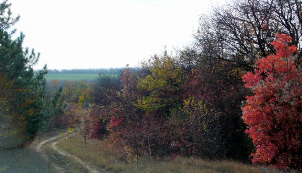 Карпово-Надеждинка з panoramio.com - Карпово-Надеждинка