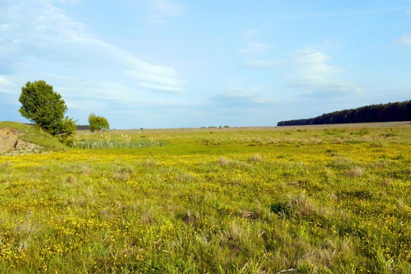 Червона Слобода з panoramio.com - Червоная Слобода