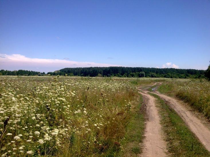 Розльоти з panoramio.com - Розльоти