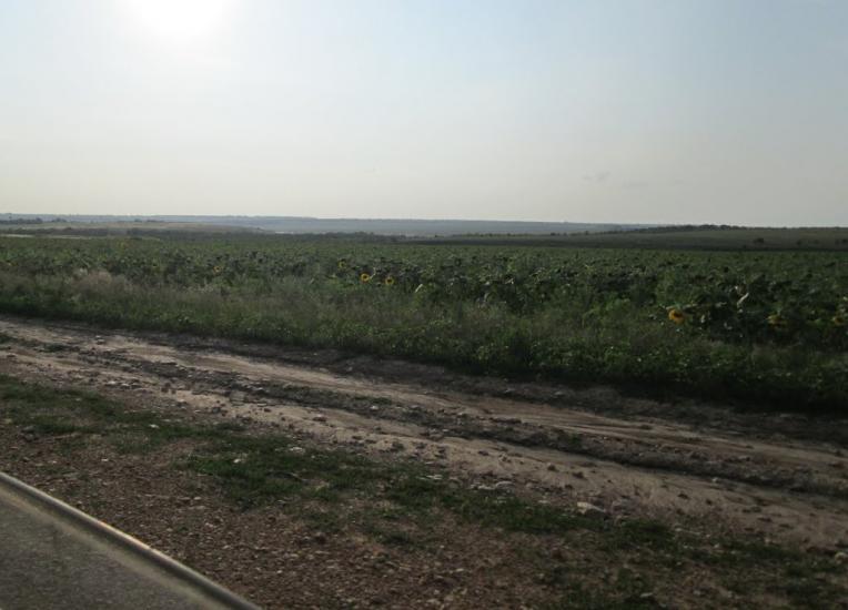 Єлизаветівка з panoramio.com - Єлизаветівка