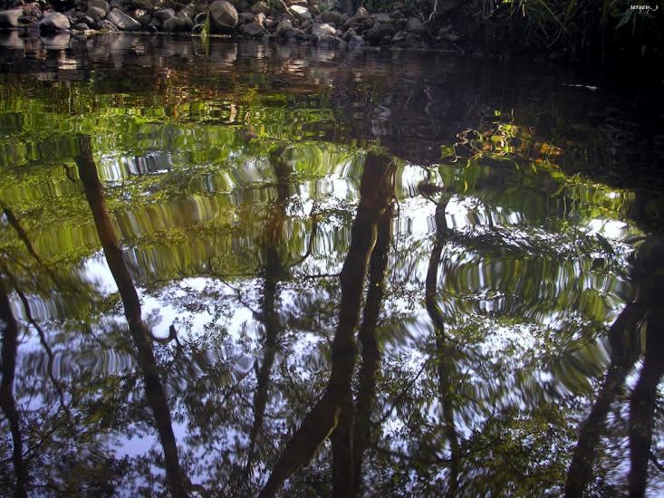 Великі Лази з panoramio.com - Великі Лази