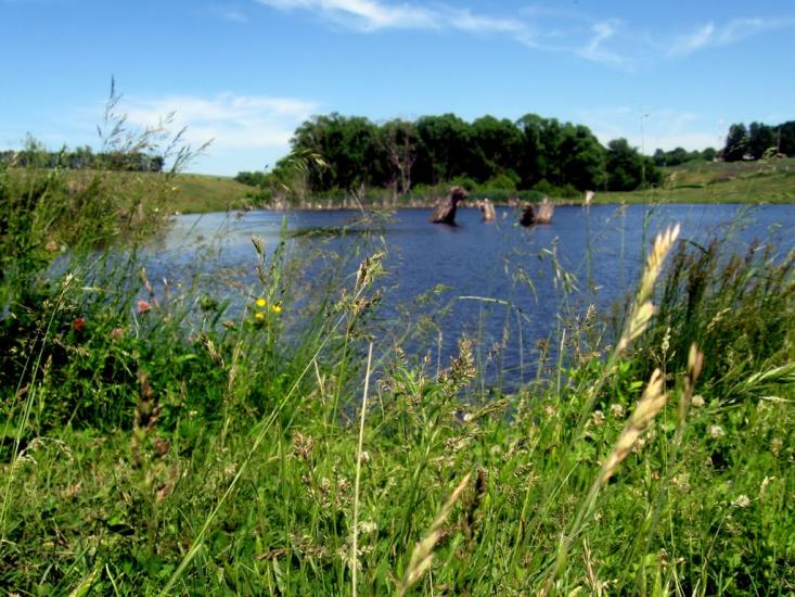 Стрілеча з panoramio.com - Стрілеча