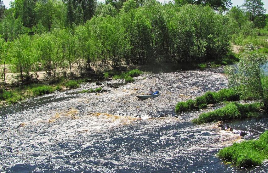 Сущани з panoramio.com - Сущаны